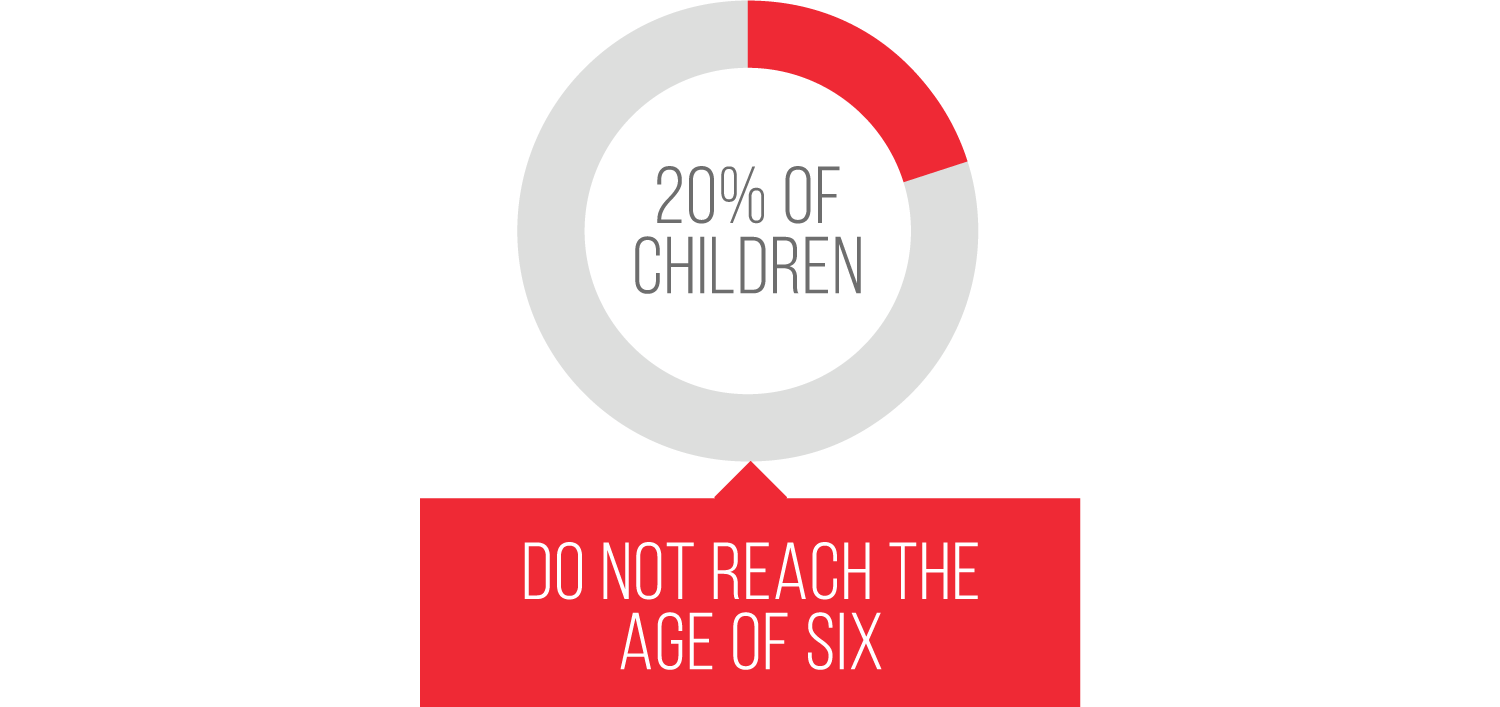 20% of Children do not reach the age of six.